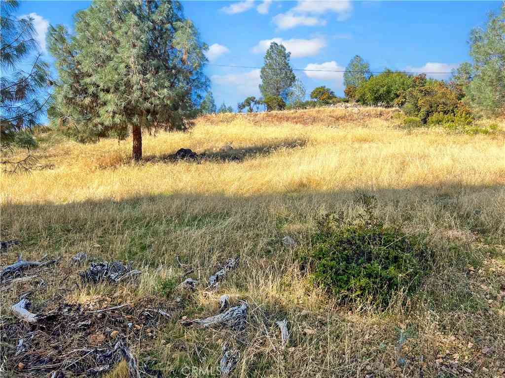 Vacant Land For Sale - 10203 El Capitan<br/> Kelseyville, CA 95451