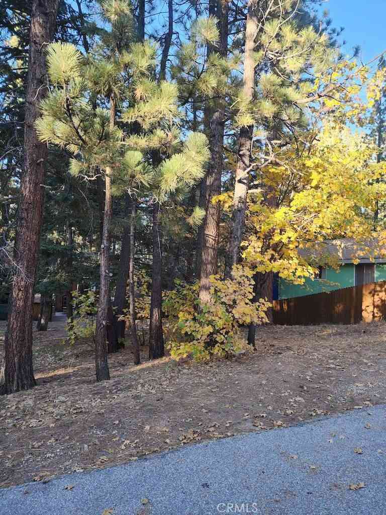 Vacant Land For Sale - 42736 Willow Avenue<br/> Big Bear Lake, CA 92315