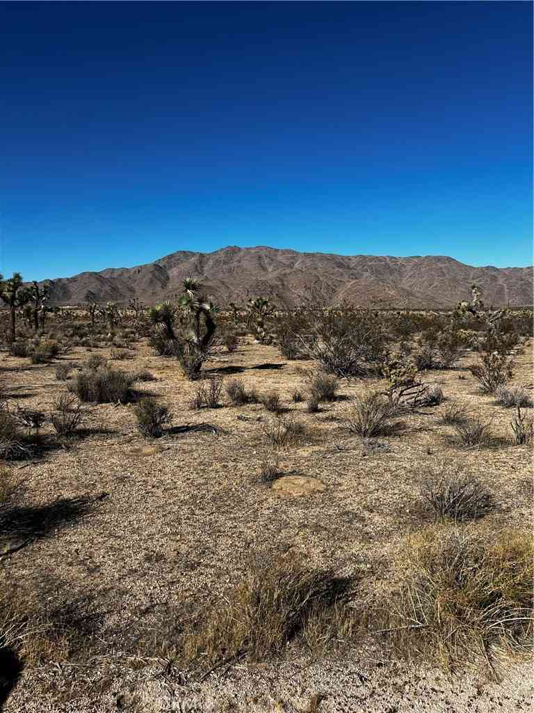 Vacant Land For Sale - Canyon View Road<br/> Lucerne Valley, CA 92356