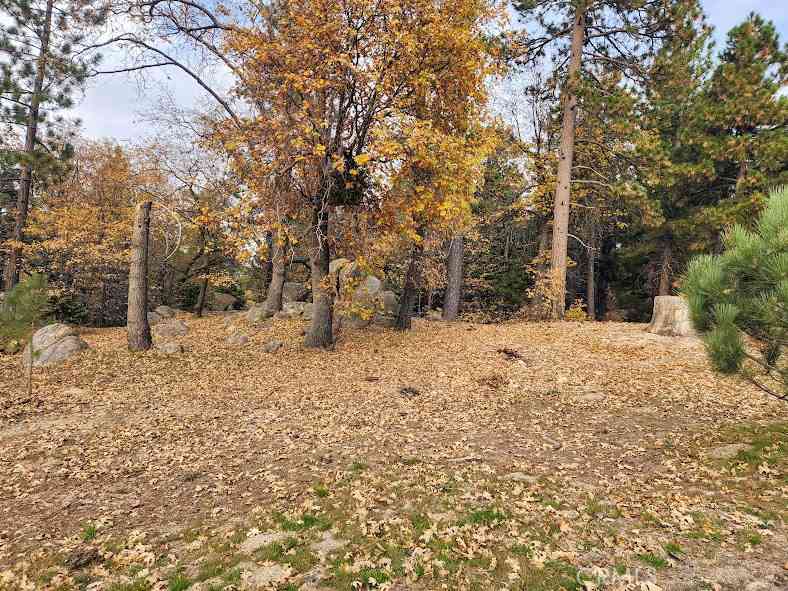 Vacant Land For Sale - 32240 Whisper<br/> Running Springs, CA 92382