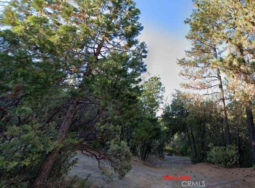 Vacant Land For Sale - Rex Lane<br/> Oroville, CA 95966