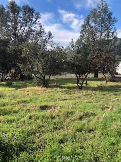 Vacant Land For Sale - 5308 Olympia Drive<br/> Kelseyville, CA 95451