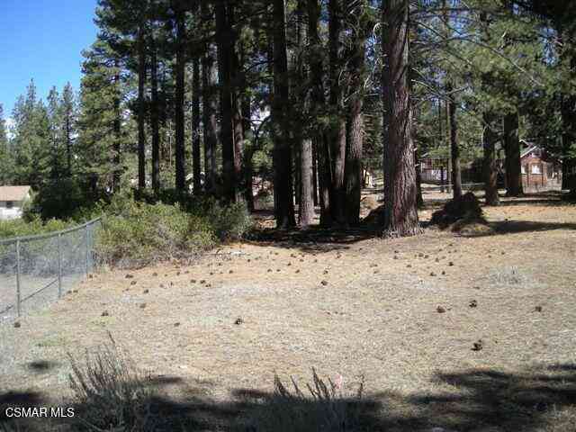 Vacant Land For Sale - 776 Knickerbocker Road<br/> Big Bear, CA 92315