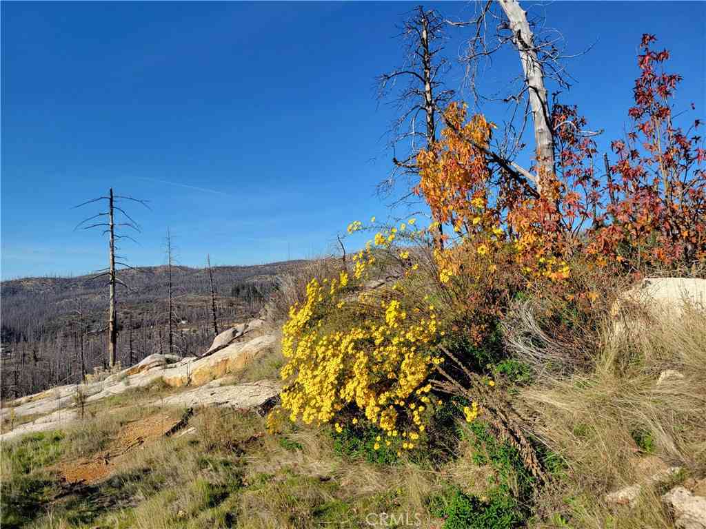 Vacant Land For Sale - 161 Shadow Creek Road<br/> Berry Creek, CA 95916