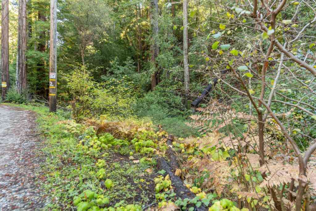 Vacant Land For Sale - 4 Old Mill Avenue<br/> Felton, CA 95018