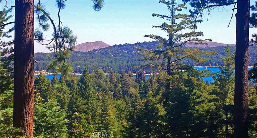Vacant Land For Sale - 525 Ca-173<br/> Lake Arrowhead, CA 92352