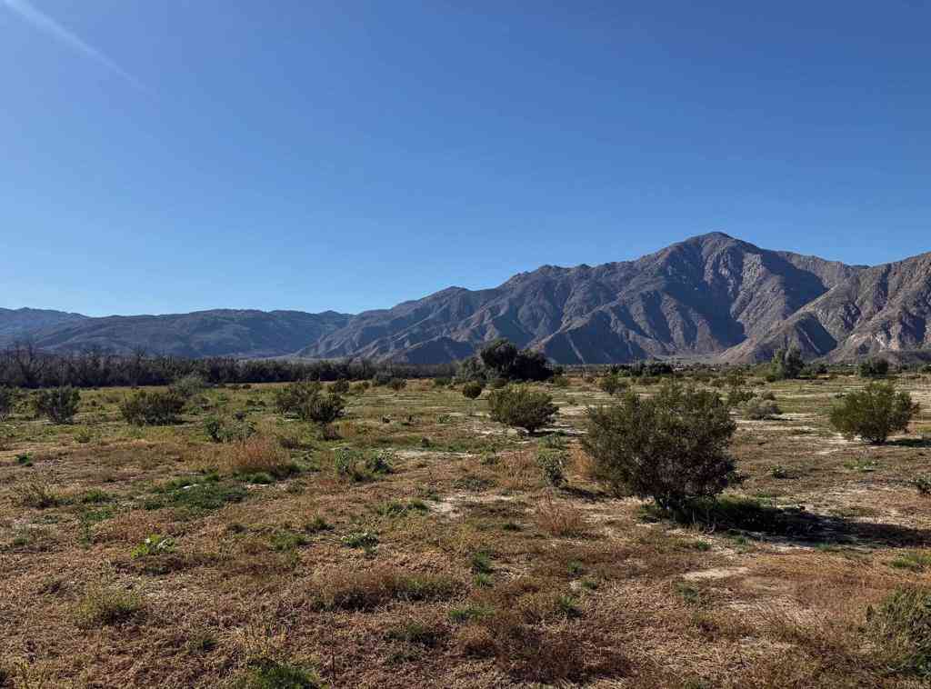 Vacant Land For Sale - Borrego Springs Road<br/> Borrego Springs, CA 92004