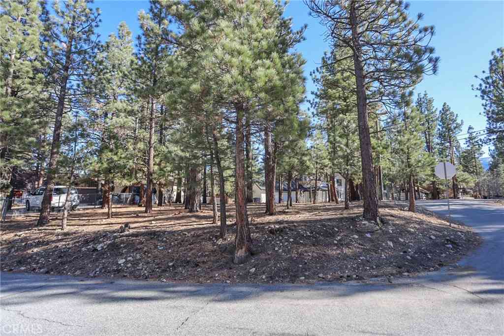 Vacant Land For Sale - Dutch<br/> Big Bear City, CA 92314