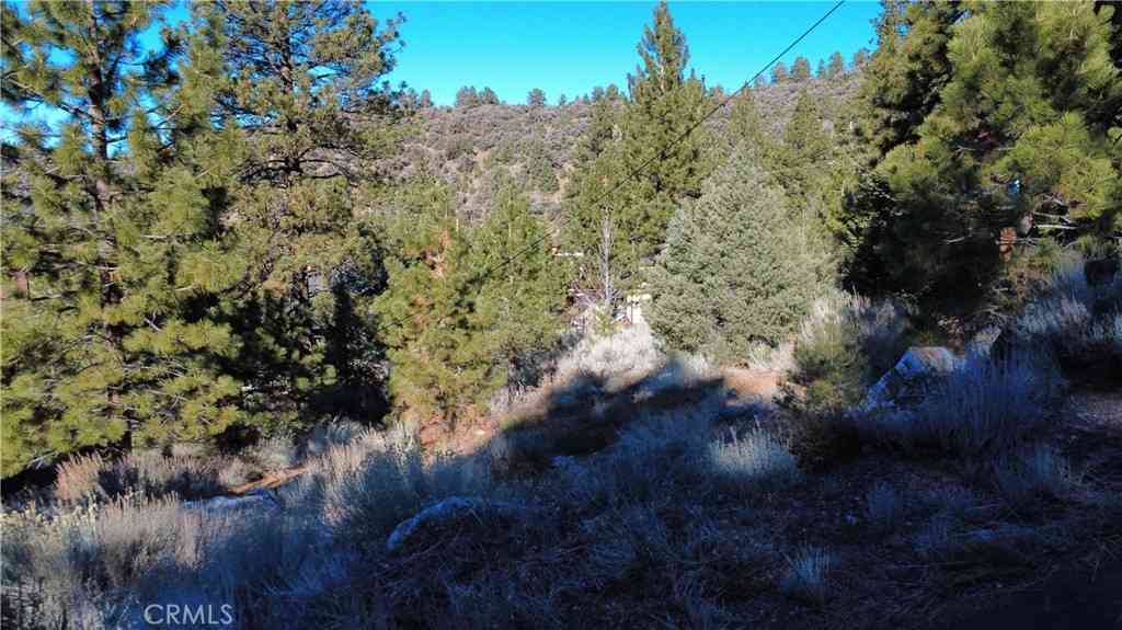 Vacant Land For Sale - 15113 Chestnut Drive<br/> Kern County, Pine Mountain Club, CA 93222