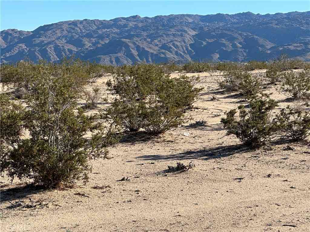 Vacant Land For Sale - Nandia<br/> 29 Palms, CA 92277