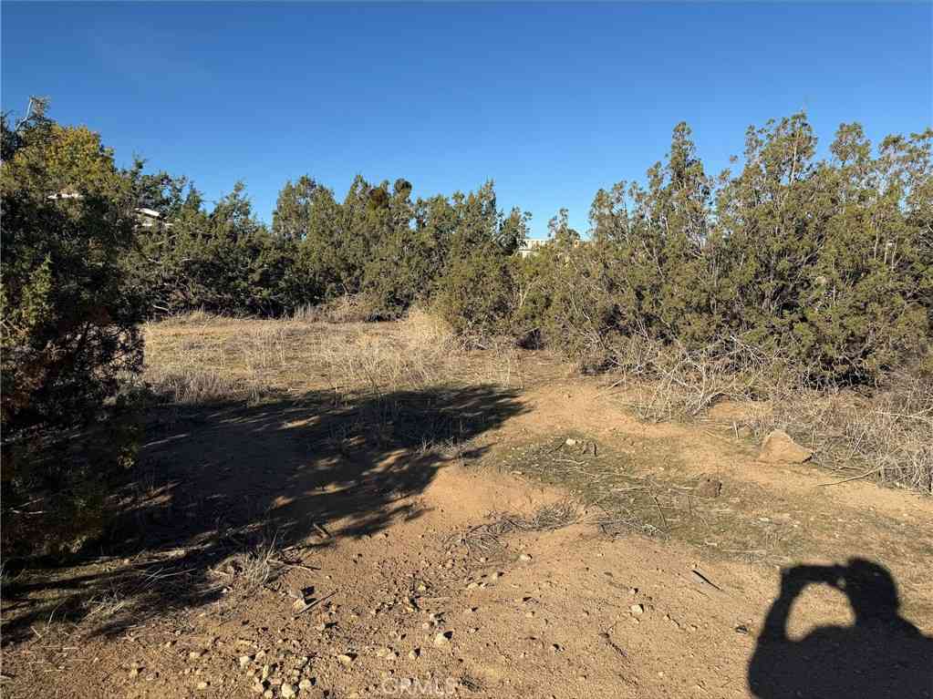 Vacant Land For Sale - Neilson Road<br/> Phelan, CA 92371