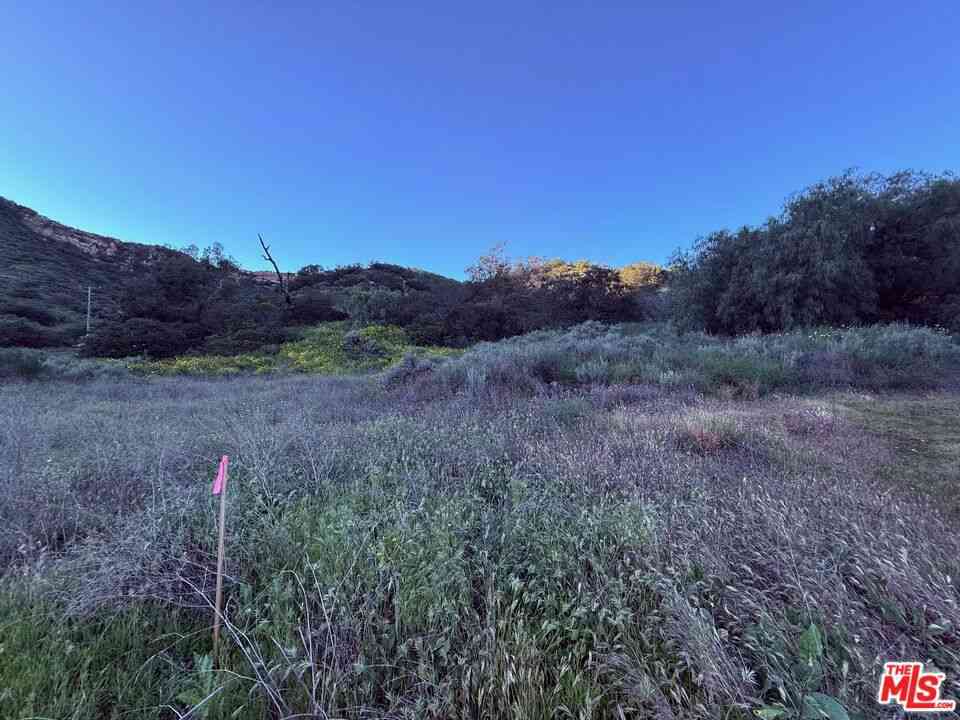 Vacant Land For Sale - 23629 Zuniga Road<br/> Topanga, CA 90290