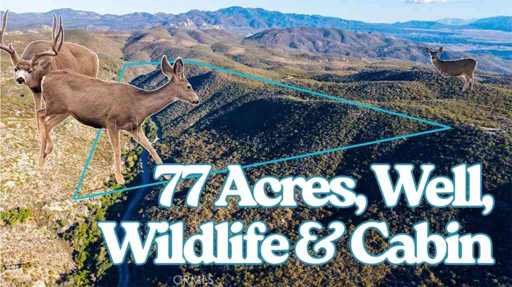 Vacant Land For Sale - 28618 Chihuahua Valley Road<br/> Warner Springs, CA 92086