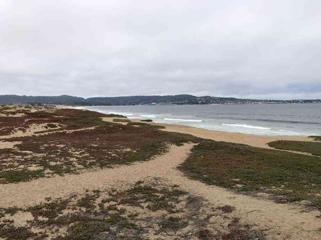 Vacant Land For Sale - Tioga Avenue<br/> Monterey County, Sand City, CA 93955