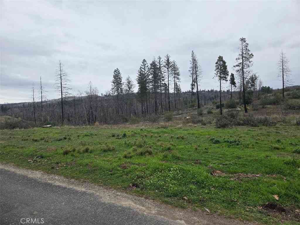 Vacant Land For Sale - 259 Rockerfeller Road<br/> Berry Creek, CA 95916