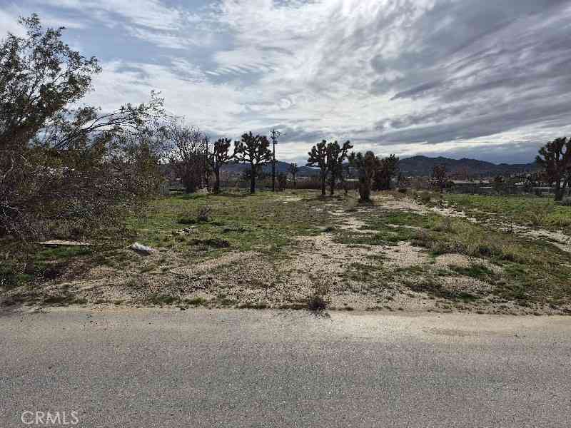 Vacant Land For Sale - Cassia Drive<br/> Yucca Valley, CA 92284