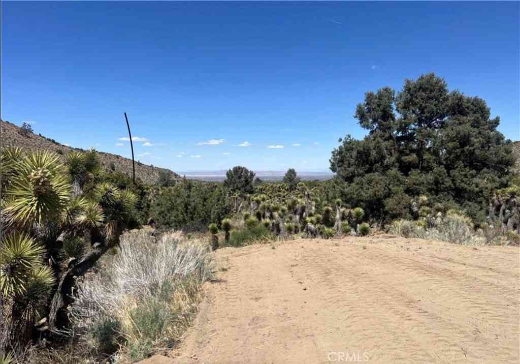 Vacant Land For Sale - Evergreen Rd<br/> Pinon Hills, CA 92372