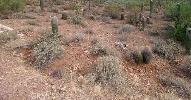 Vacant Land For Sale - Vac/ Challenge Wy Vic Ave # L<br/> Lancaster, CA 93535