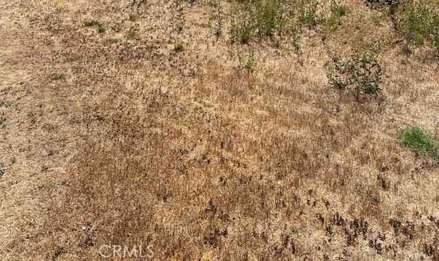 Vacant Land For Sale - Vac/ave G8/vic 40th Stw<br/> Lancaster, CA 93536