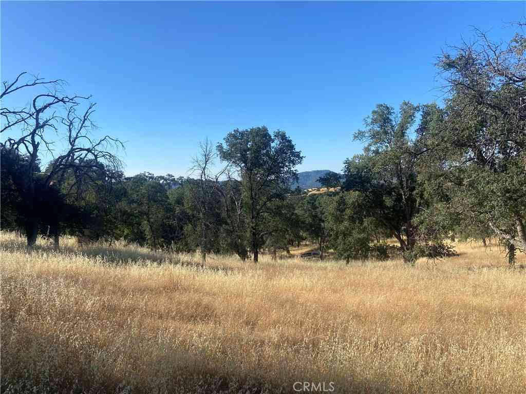 Vacant Land For Sale - State Hwy 140<br/> Mariposa, CA 95338