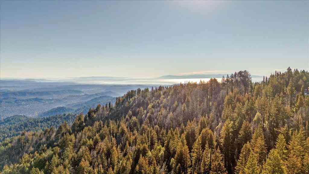 Vacant Land For Sale - 11035 Empire Grade<br/> Santa Cruz, CA 95060