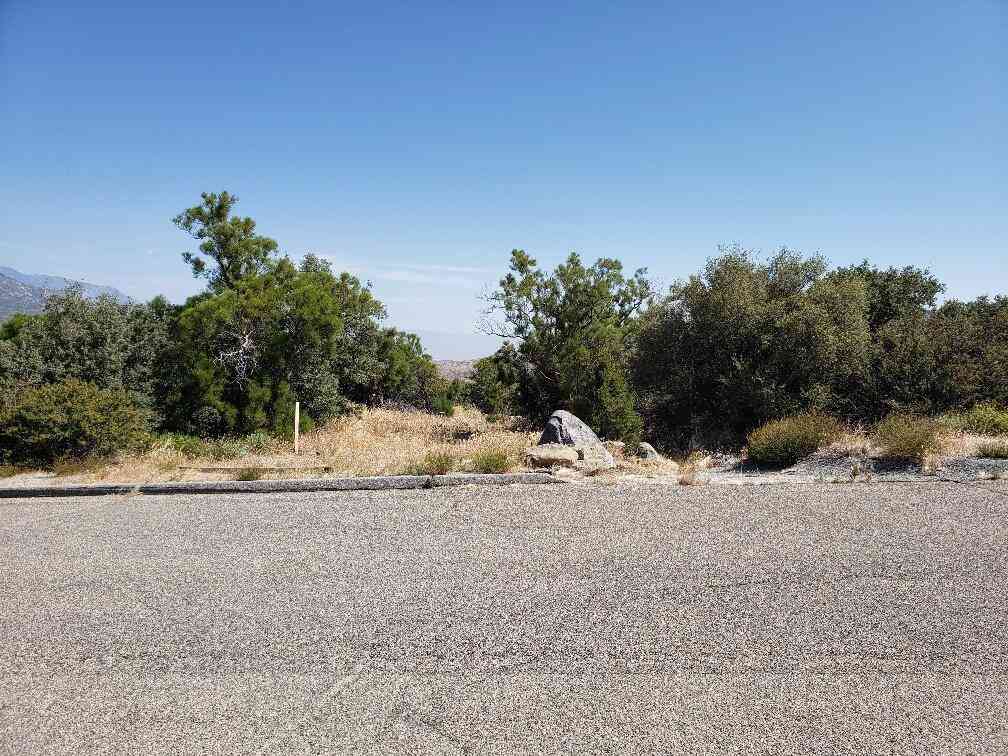 Vacant Land For Sale - Ribbonwood Drive<br/> Mountain Center, CA 92561