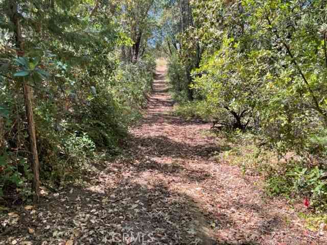 Vacant Land For Sale - 12 Broken Springs<br/> Oroville, CA 95966