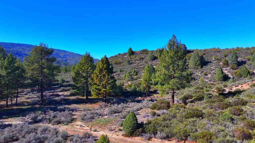 Vacant Land For Sale - 1 Butterfly Peak Road<br/> Mountain Center, CA 92561