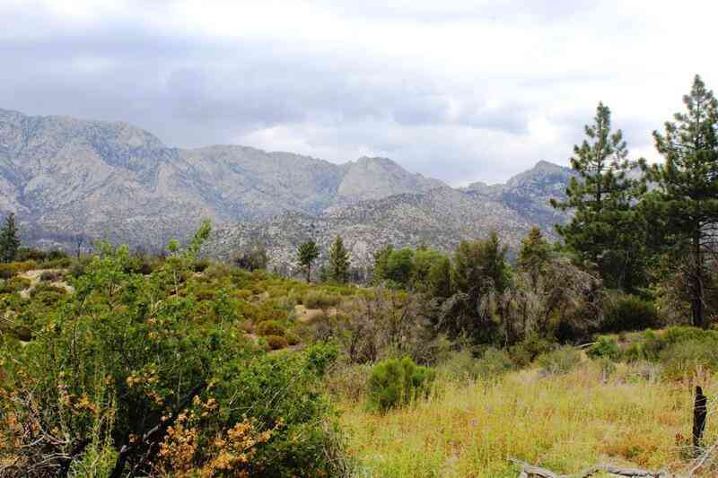 Vacant Land For Sale - Bonita Vista Road<br/> Mountain Center, CA 92561