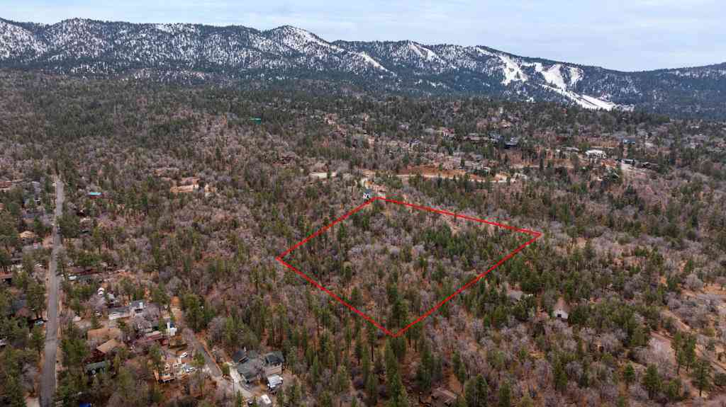 Vacant Land For Sale - 751 Needle Lane<br/> Big Bear, CA 92314