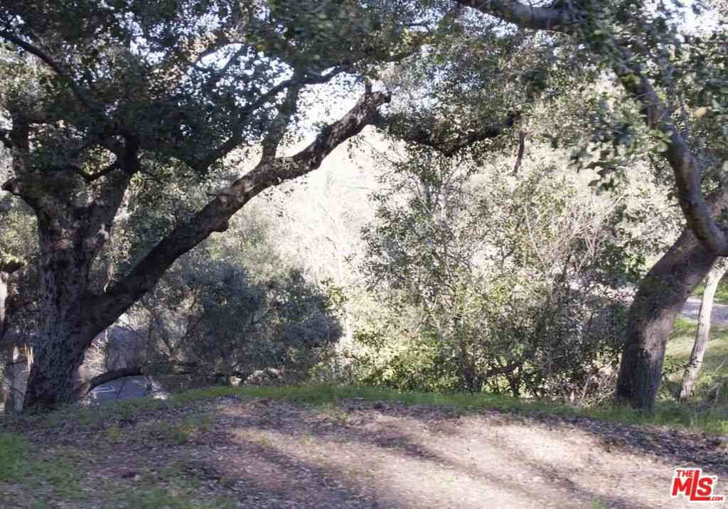 Vacant Land For Sale - 21050 Winfield Road<br/> Topanga, CA 90290