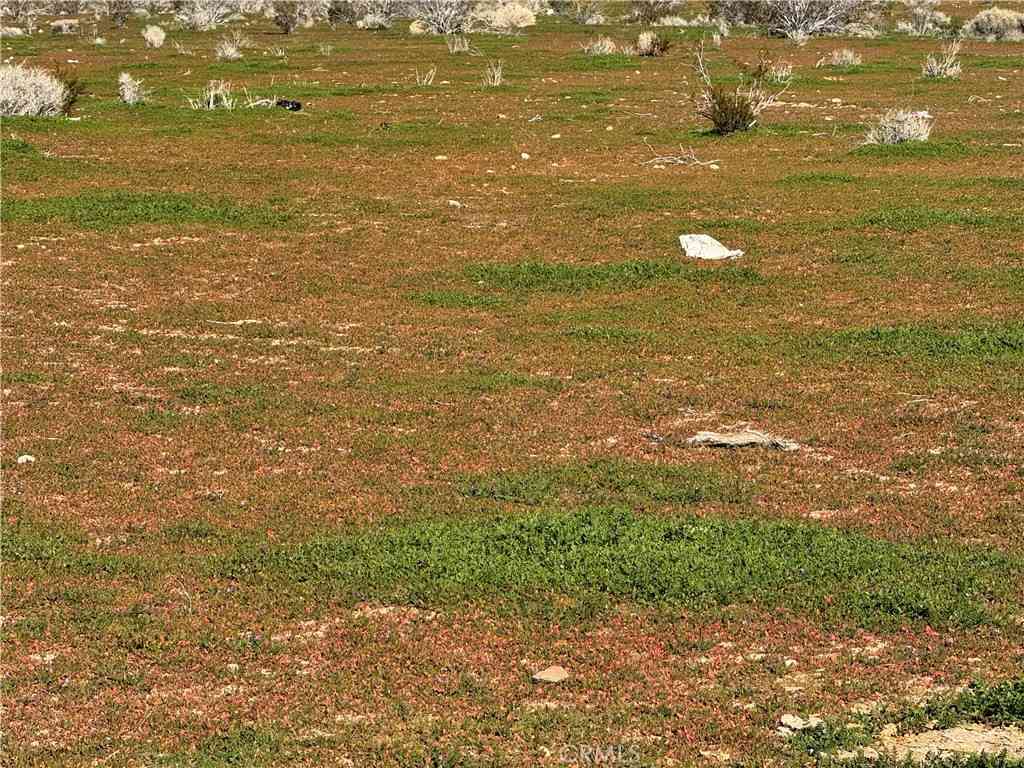 Vacant Land For Sale - Land<br/> Morongo Valley, CA 92256
