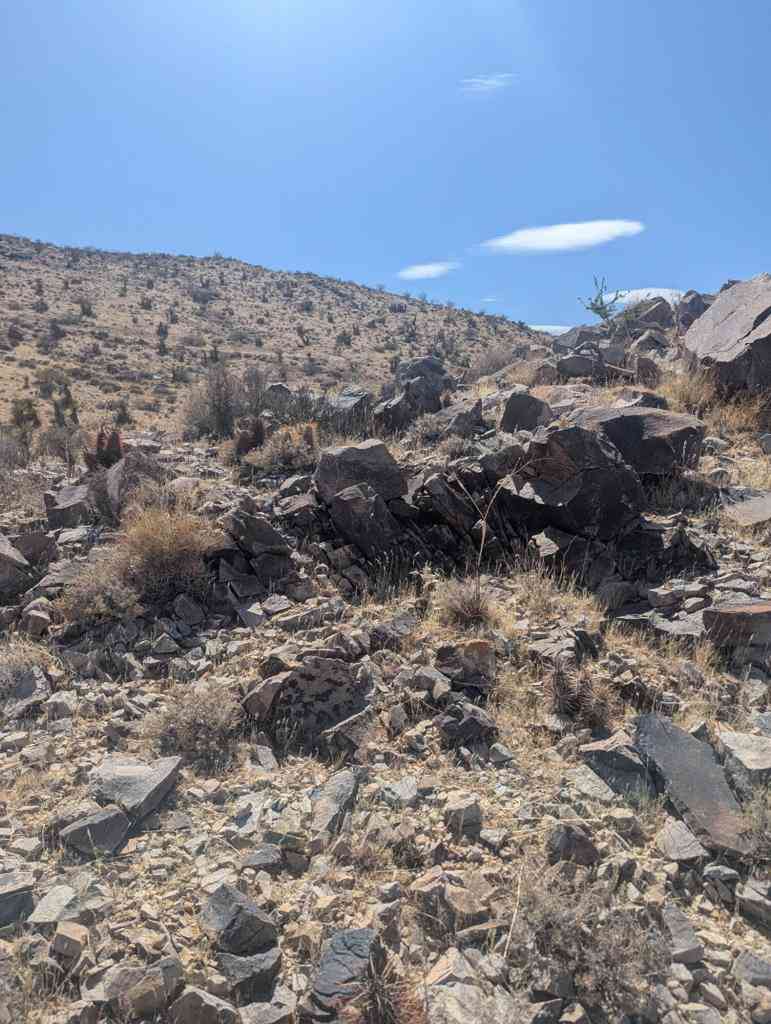 Vacant Land For Sale - Alta Ave Avenue<br/> Yucca Valley, CA 92286