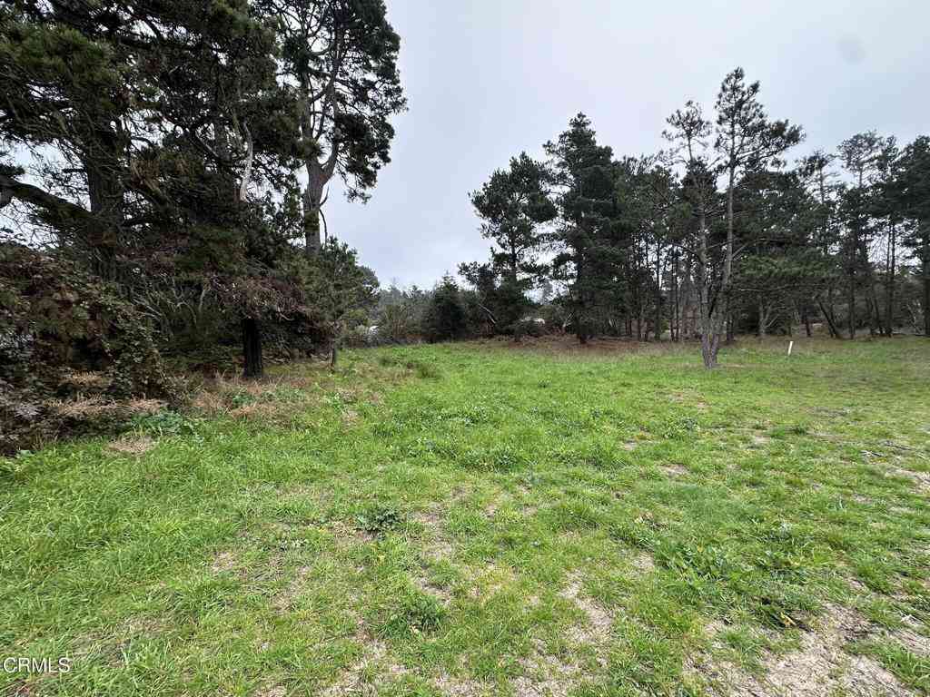 Vacant Land For Sale - 32875 Simpson Lane<br/> Fort Bragg, CA 95437