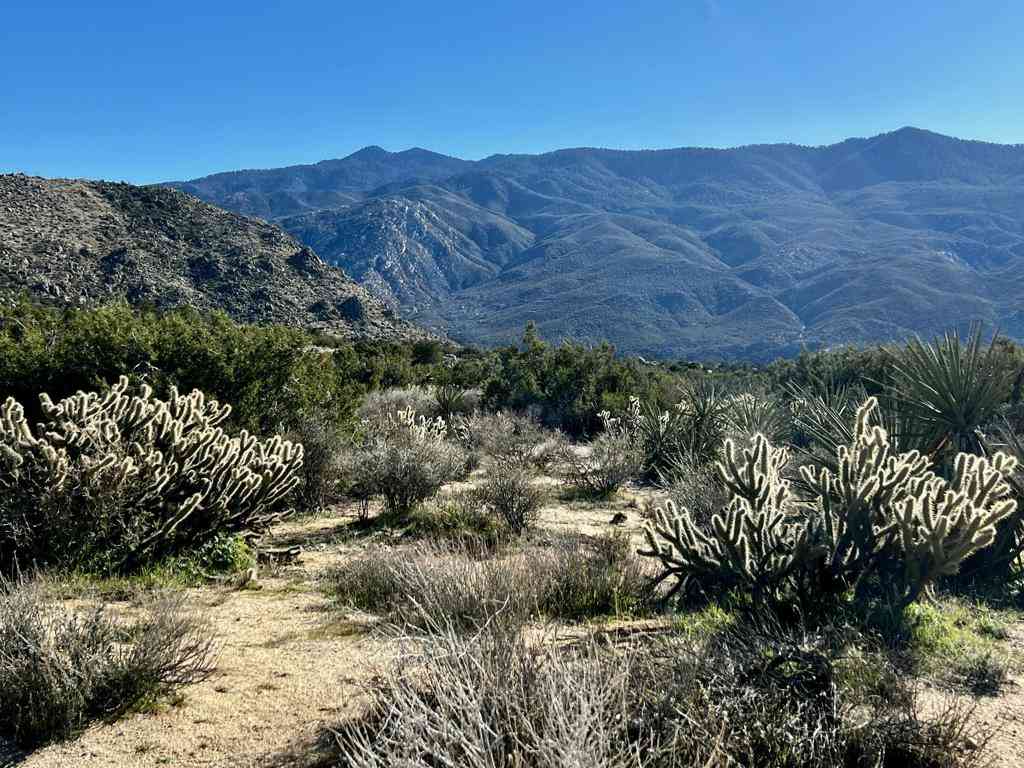Vacant Land For Sale - Apn# 635 393 007<br/> Mountain Center, CA 92561