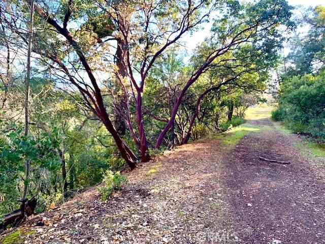 Vacant Land For Sale - 7333 Tehama<br/> Nice, CA 95464