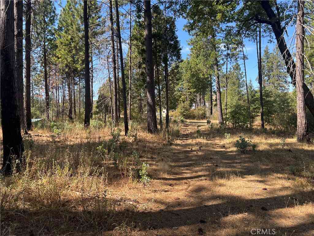 Vacant Land For Sale - 13477 Cirby Creek Road<br/> Oroville, CA 95965