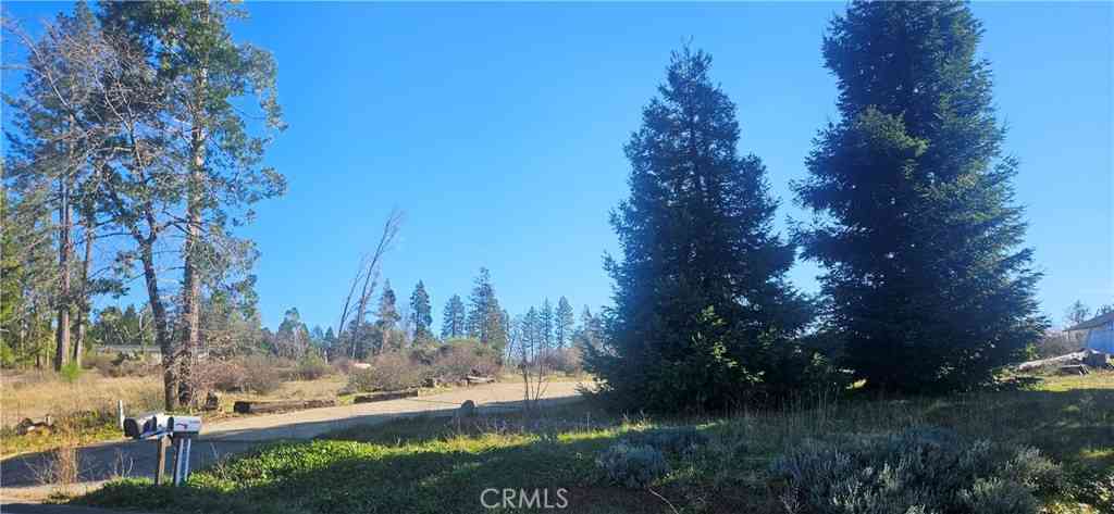 Vacant Land For Sale - 13694 W Park<br/> Magalia, CA 95954