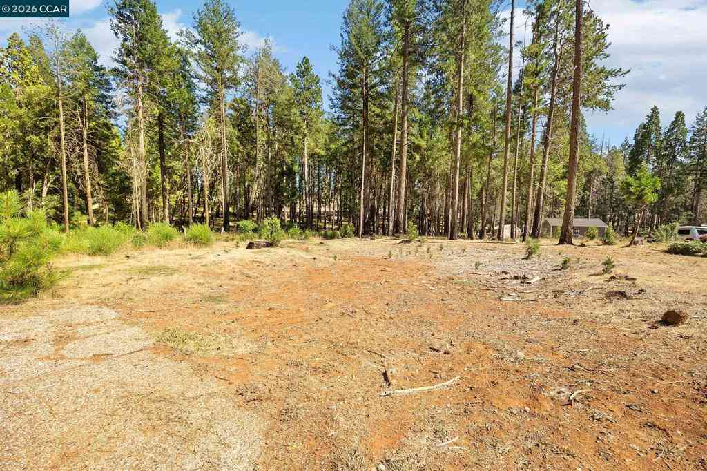 Vacant Land For Sale - 14080 Temple Cir<br/> Magalia, CA 95954