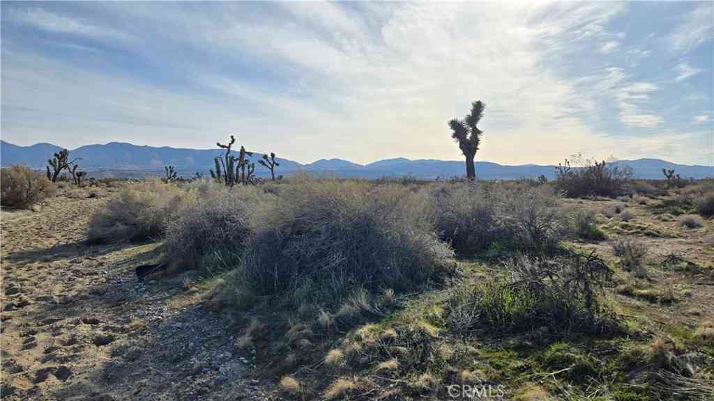 Vacant Land For Sale - 115th St East S/o Ave S S<br/> Littlerock, CA 93543