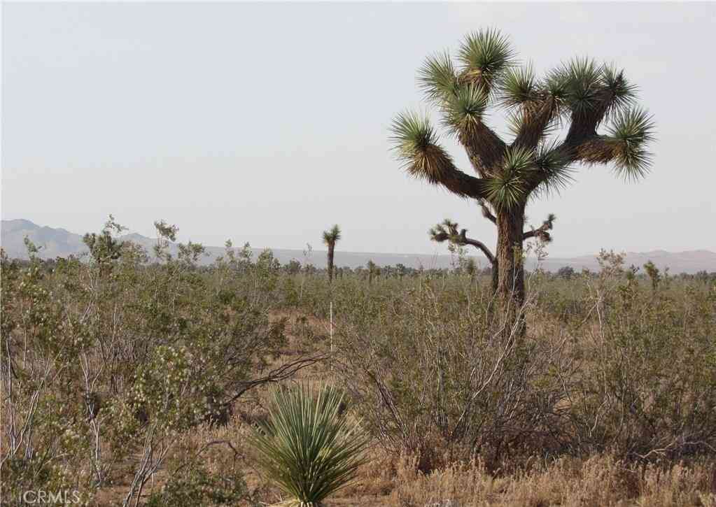 Vacant Land For Sale - 3129-171-06-0000 Caughlin Road<br/> Adelanto, CA 92301