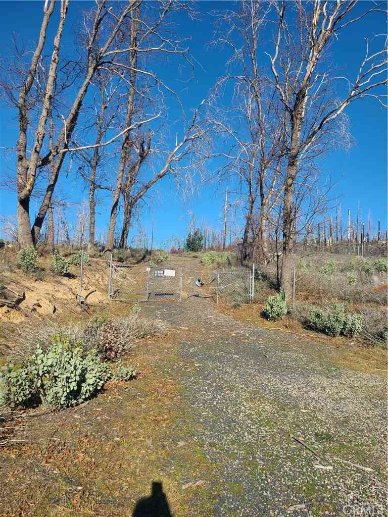 Vacant Land For Sale - 81 Green Cedar<br/> Berry Creek, CA 95916