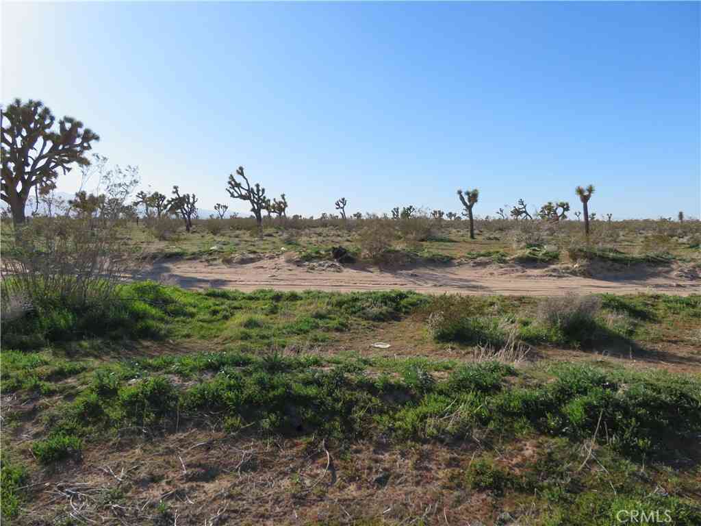 Vacant Land For Sale - Luna Road<br/> Phelan, CA 92371