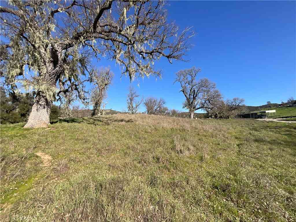 Vacant Land For Sale - 49253 Sapaque<br/> Bradley, CA 93426