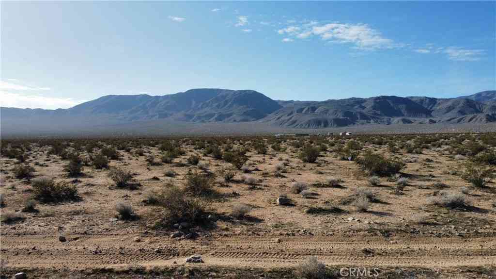 Vacant Land For Sale - 42 Old Woman Springs Road<br/> Johnson Valley, CA 92356