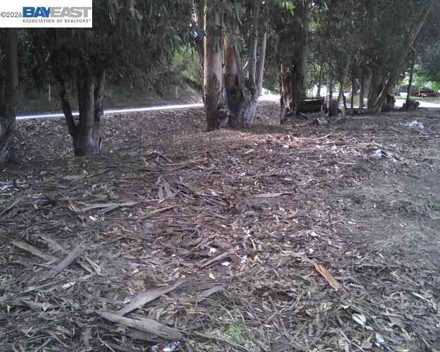 Vacant Land For Sale - Morrison Canyon Rd<br/> Fremont, CA 94536