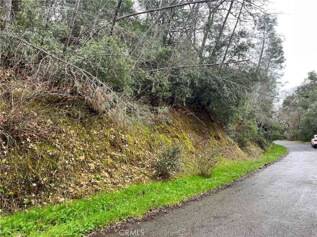 Vacant Land For Sale - 7022 Black Oak Street<br/> Nice, CA 95464