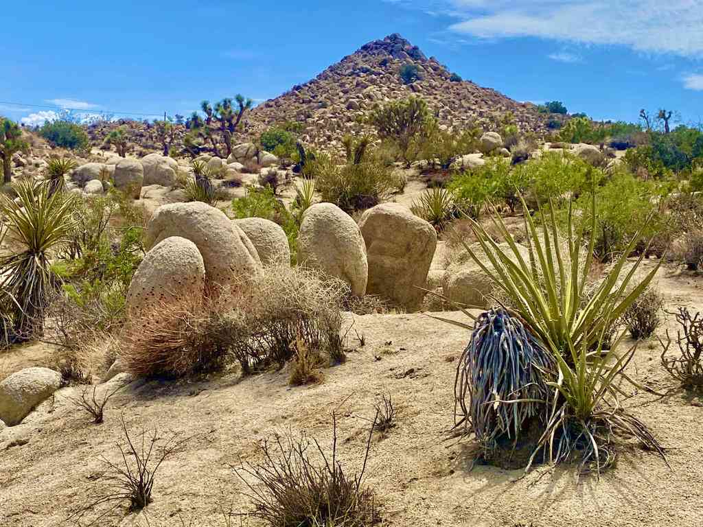 Vacant Land For Sale - 104 Bandera Road<br/> Yucca Valley, CA 92284
