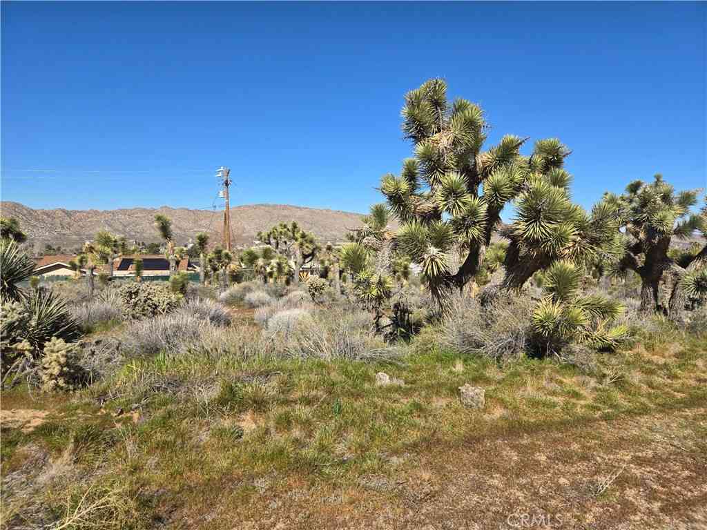 Vacant Land For Sale - 55000 Bunny Road<br/> Yucca Valley, CA 92284