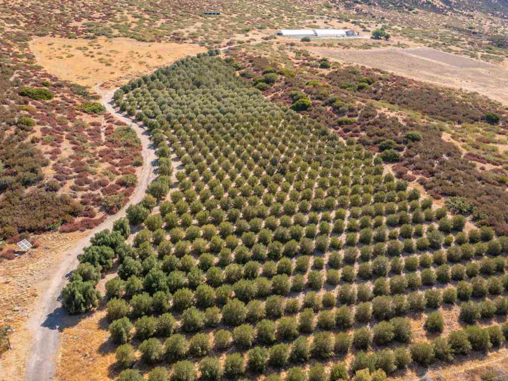 Vacant Land For Sale - 129.55 +/ ACRES San Felipe Road<br/> Warner Springs, CA 92086